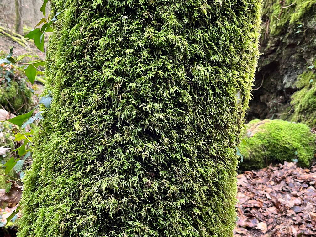 24-02-28 10-52-15 8761